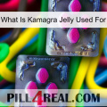 What Is Kamagra Jelly Used For 01